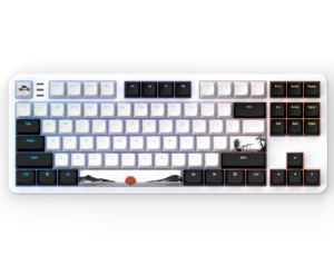 Геймърскa механична клавиатура Dark Project 87 Fuji V2 RGB TKL изглед отпред